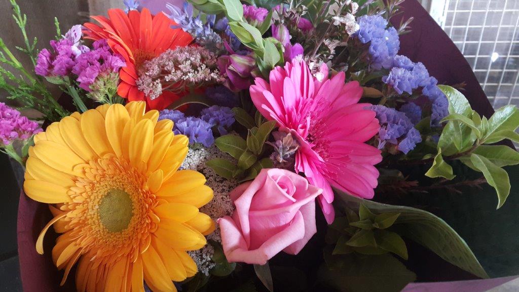 Gerbera - Bright and happy