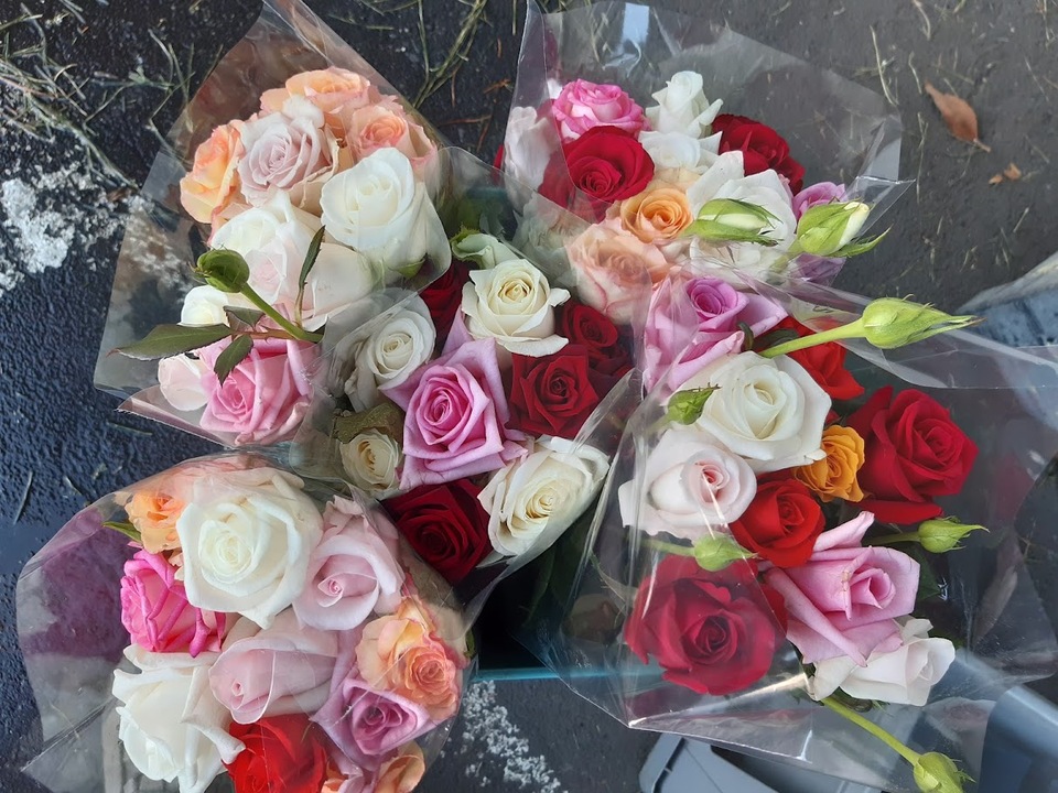 Mixed colours - Random