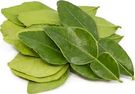 Fresh Kaffir Lime Leaves