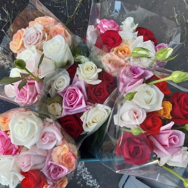 Mixed Colours - Random